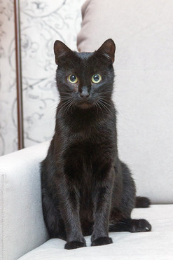 ������������� ������� ����� ���� ���! - ���� 1 � ����������