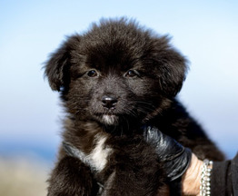 ����� ���� ����� ��� � ������� ������! - ���� 1 � ����������