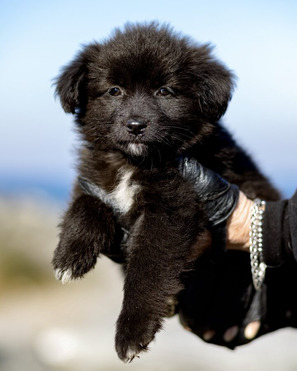 ����� ���� ����� ��� � ������� ������! - ���� 1 � ����������