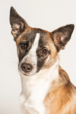 ������ ���� ���������� ������ - ���� 1 � ����������