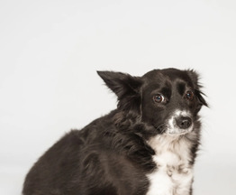 �������� ���� ���������� ������ - ���� 1 � ����������