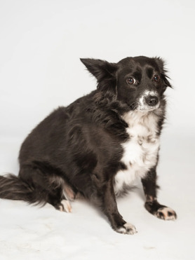 �������� ���� ���������� ������ - ���� 1 � ����������