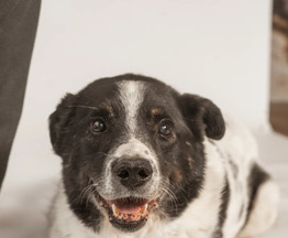 ������ ���� ���������� ������ - ���� 1 � ����������