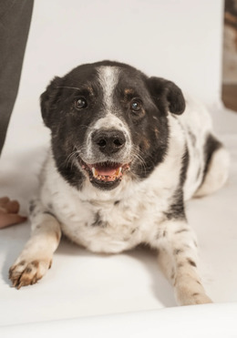 ������ ���� ���������� ������ - ���� 1 � ����������