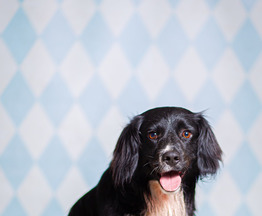 ������� ��������� �������� ���� ���������� ������ - ���� 1 � ����������