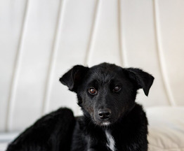 ��������� ����� ���� ���� ���! - ���� 1 � ����������