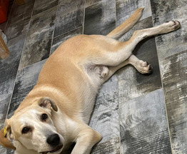 �������� �������� ���� ���������� ������ - ���� 1 � ����������