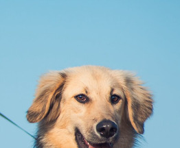 ������� � �������� ���������� ���� �����. - ���� 1 � ����������