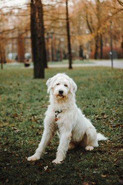 ����������� ������� ���� ���������� ������ - ���� 1 � ����������