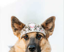 �������� ����������� ������� ���� ���������� ������ - ���� 1 � ����������