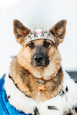 �������� ����������� ������� ���� ���������� ������ - ���� 1 � ����������