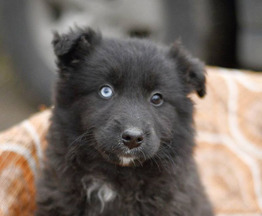 ����� ��������� - ���� 1 � ����������