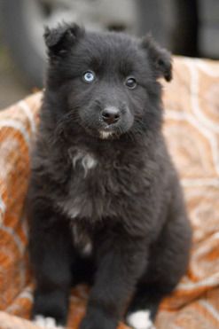 ����� ��������� - ���� 1 � ����������