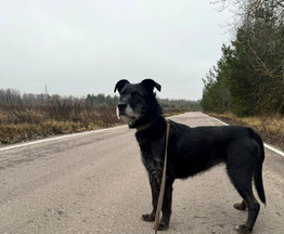 ����� � ����� ������ 6 ��� ���� - ���� 1 � ����������