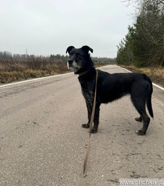 ����� � ����� ������ 6 ��� ���� - ���� 1 � ����������