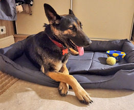 �������� ������� ���� ���������� ������ - ���� 1 � ����������