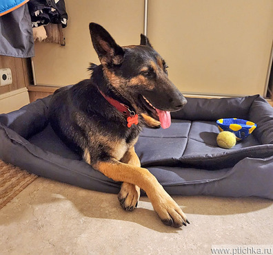 �������� ������� ���� ���������� ������ - ���� 1 � ����������