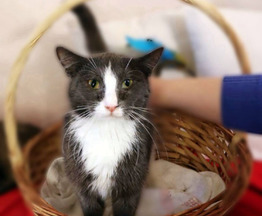 ����� � ������ ���� ��� - ���� 1 � ����������