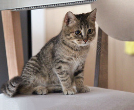 ����� ���� ���������� ������ - ���� 1 � ����������