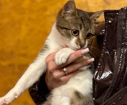 �������� ������� ������ ���� ���! - ���� 1 � ����������