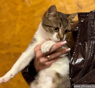 �������� ������� ������ ���� ���! - ���� 1 � ����������