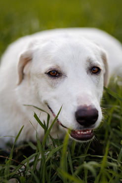 �������� ��� ����� ���� �����. - ���� 1 � ����������