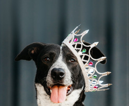 ������� ���� ���������� ������ - ���� 1 � ����������