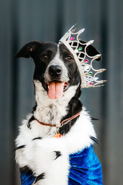 ������� ���� ���������� ������ - ���� 1 � ����������