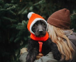 �������������� (�������) ���� ���������� ������ - ���� 1 � ����������