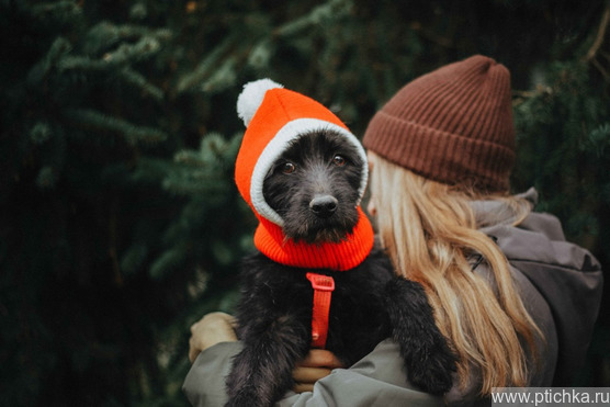 �������������� (�������) ���� ���������� ������ - ���� 1 � ����������