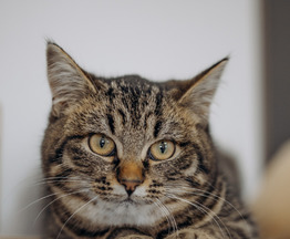 ������ ������� ������ � ��� - ���� 1 � ����������