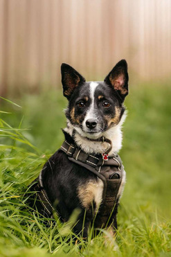 �������� ���� ���������� ������ - ���� 1 � ����������