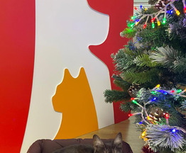 ������� ������� ����� ���� ���������� ������ - ���� 1 � ����������