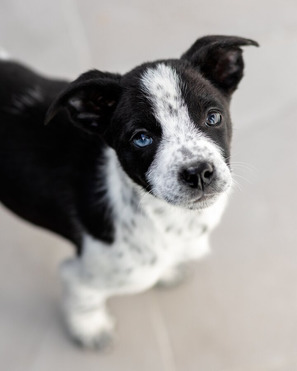 ���� ��������� ������ ���� ���. - ���� 1 � ����������