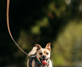 �������� ���� ���������� ������ - ���� 1 � ����������