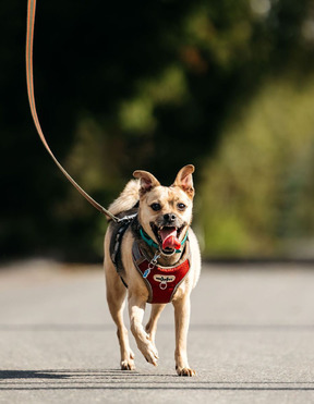 �������� ���� ���������� ������ - ���� 1 � ����������