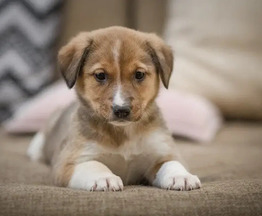 ��������� ����� ���� ��� - ���� 1 � ����������