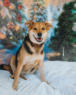 ������ ���� ���������� ������ - ���� 1 � ����������