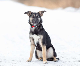 ������ ���� ���������� ������ - ���� 1 � ����������