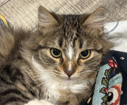 �������������� ������ ������� � ������ ���� ���� �����! - ���� 1 � ����������