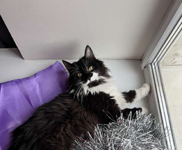 ����� ���� ���������� ������ - ���� 1 � ����������