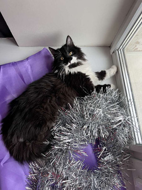 ����� ���� ���������� ������ - ���� 1 � ����������