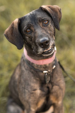 ������ ���� ���������� ������ - ���� 1 � ����������