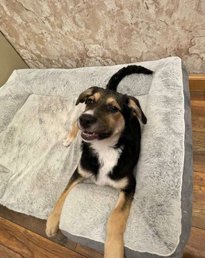 ������ ���� ���������� ������ - ���� 1 � ����������