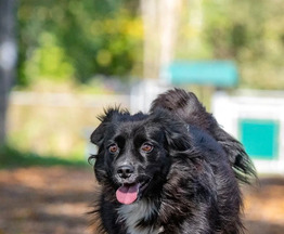 ������� ���� ������ �������� ���� ���������� ������ - ���� 1 � ����������