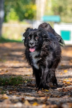 ������� ���� ������ �������� ���� ���������� ������ - ���� 1 � ����������