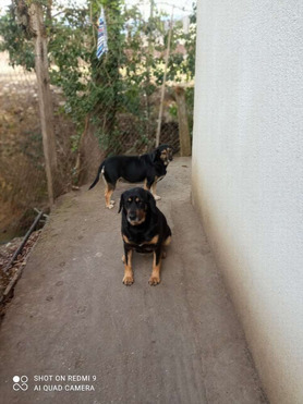 ������ ���� ���������� ������ - ���� 1 � ����������