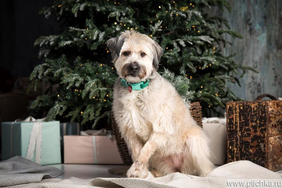 ������ ���� ���������� ������ - ���� 1 � ����������