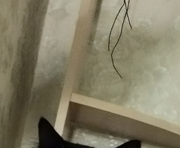     -  1  