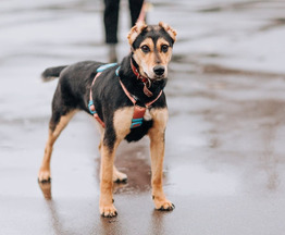 ����� ���� ��� � ��������, � ������� ����� ������ ������ ���������� ���������! - ���� 1 � ����������